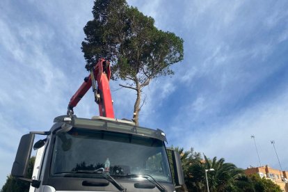 Almería pasa a estar en alerta amarilla por viento.