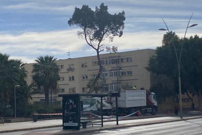 Efectos de la borrasca Ciarán.