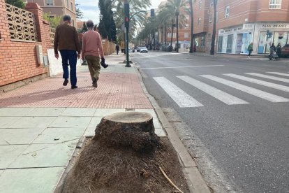 Almería, la zona andaluza con más incidencias por el temporal.