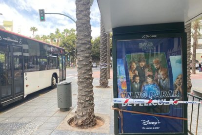 La marquesina donde cayó una palmera.