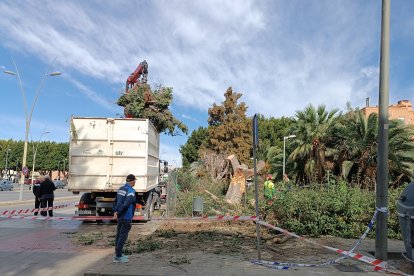 El Ayuntamiento de Almería intensifica la limpieza este viernes.