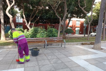 Efectos de la borrasca Ciarán.