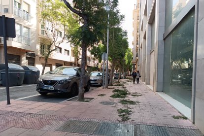 Almería pasa a estar en alerta amarilla por viento.
