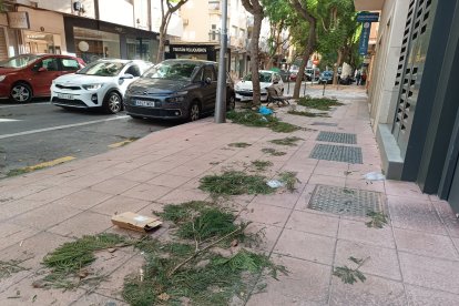 El Ayuntamiento de Almería intensifica la limpieza este viernes.
