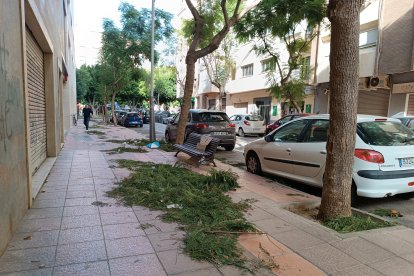 Almería, la zona andaluza con más incidencias por el temporal.