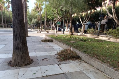 Efectos de la borrasca Ciarán.