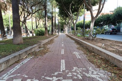 Almería, la zona andaluza con más incidencias por el temporal.
