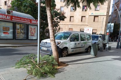 Efectos de la borrasca Ciarán.