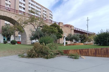 La ciudad de Almería recupera la normalidad.