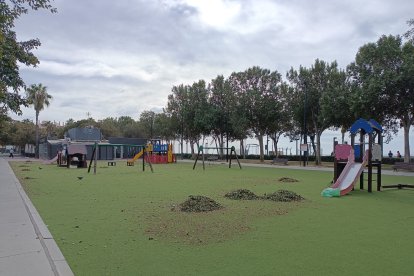 El Ayuntamiento de Almería intensifica la limpieza este viernes.