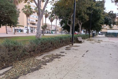 Almería, la zona andaluza con más incidencias por el temporal.