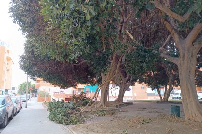 Almería pasa a estar en alerta amarilla por viento.