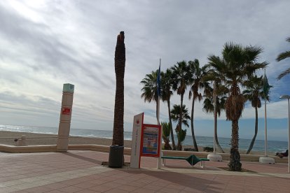 La borrasca se dejó notar bastante en la capital.