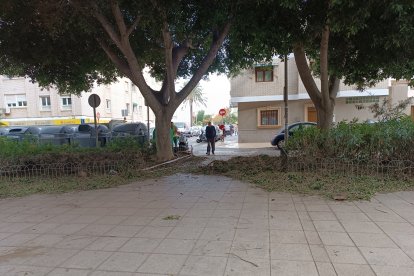 El Ayuntamiento de Almería intensifica la limpieza este viernes.