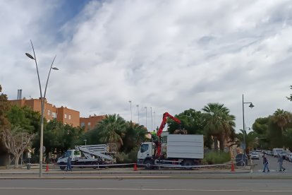 El Ayuntamiento de Almería intensifica la limpieza este viernes.