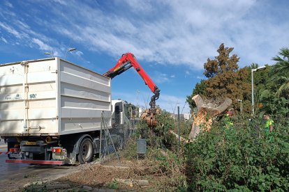 Efectos de la borrasca Ciarán.
