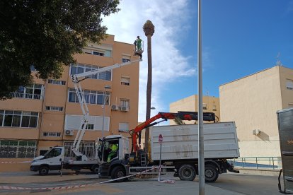 Almería, la zona andaluza con más incidencias por el temporal.