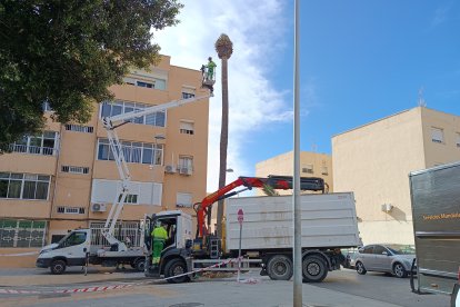 Efectos de la borrasca Ciarán.