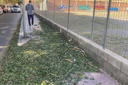 La borrasca se dejó notar bastante en la capital.