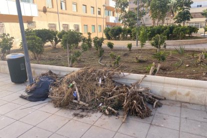 Almería, la zona andaluza con más incidencias por el temporal.
