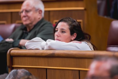 Rocío de Meer, de Vox, en su escaño en el Congreso de los Diputados.