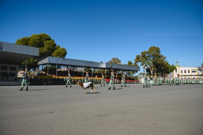El patio de armas de la Base Álvarez de Sotomayor acogió la toma de mando de Carreras Postigo.