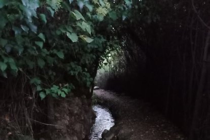 Se pueden ver todavía en muchos tramos las acequias tradicionales.