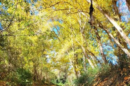 Siempre recomendable, el otoño ofrece un aspecto especial.