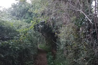 Los tramos más sorprendentes se encuentran en el entorno de Benecid.