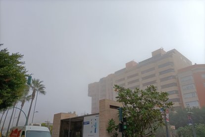 Niebla en la Rambla de Almería, este martes.