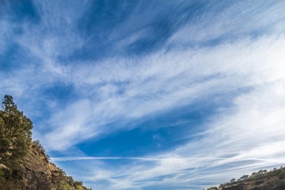 Imagen de Raúl Jiménez Vaz.