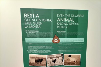 Musealización ya colocada en el interior del edificio