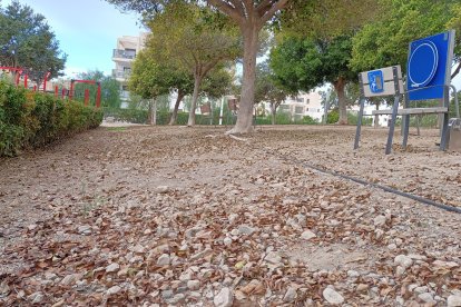 Terreno lleno de irregularidades.