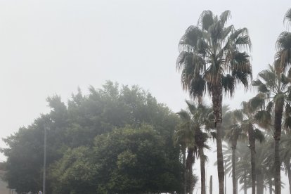 Almería, esta mañana.