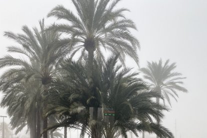 La niebla estará hasta la tarde, según las previsiones.