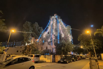 El pino y la casa del árbol iluminadas durante la Navidad de 2022.