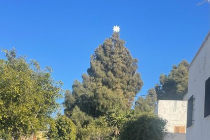 Cuenta con una gran estrella en la parte superior de su copa.