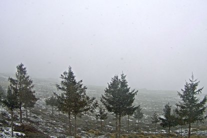 Un manto blanco en el observatorio.