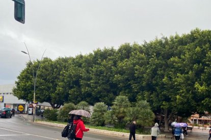 Lluvia de nuevo en la ciudad.