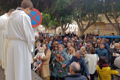 Varias mujeres esperan su turno cargando sus mascotas en brazos.