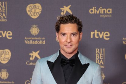 David Bisbal.