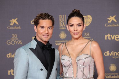 David Bisbal y Rosanna Zanetti.