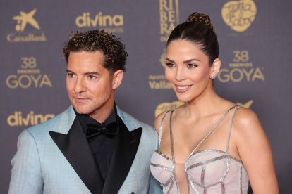 David Bisbal y Rosanna Zanetti.