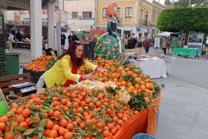 A primera hora de la mañana los puestos se ponían a punto para recibir a los visitantes a la fiesta.
