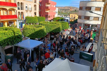 Las calles de Gádor estuvieron a reventar.