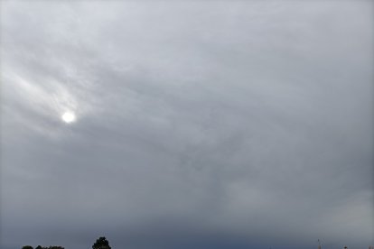 Siempre atentos a la zona de Pescadería-La Chanca.