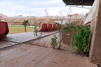 Desde la tribuna principal.