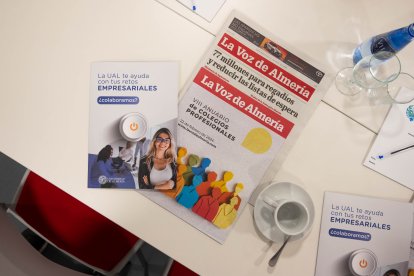 VIII Anuario de Colegios Profesionales de La Voz de Almería.