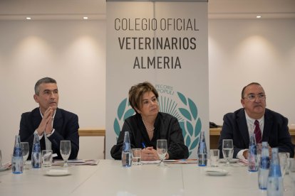 Fernando Carvajal, Yasmina Rodríguez y Simón Ruiz.