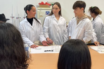 Desarrollo de las II Jornadas Mira la FP en el IES Santo Domingo.